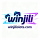winjilislots.com favicon